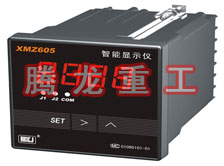 溫度表、數(shù)字顯示儀、濕度表