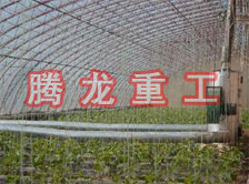 大棚花卉供暖設(shè)備、大棚卉采暖設(shè)備、大棚花卉取暖設(shè)備