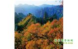 長沙往返張家界、天子山、寶峰湖/黃龍洞三日游