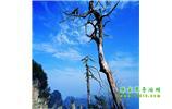 湘西之旅：張家界、天子山、寶峰湖/黃龍洞、鳳凰古城、猛洞河漂流、天門山六日游