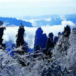 LD線：張家界、天子山、楊家界、猛洞河漂流純玩四日游