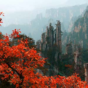 休閑自駕E線：張家界、袁家界、天子山、寶峰湖、鳳凰古城、沱江泛舟四晚五日游